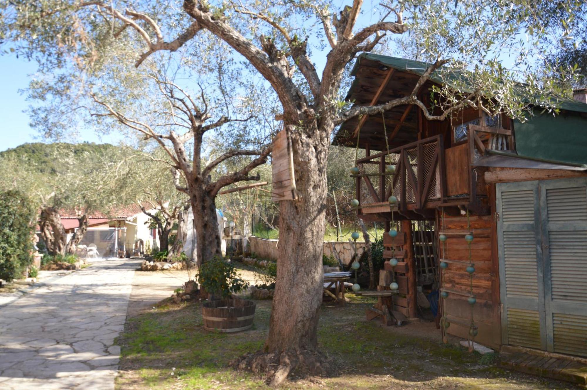 Meandros27 Cosy Countryside Rustic Semi Basement Kynopiastai
